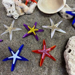 Pendientes Estrella de Mar